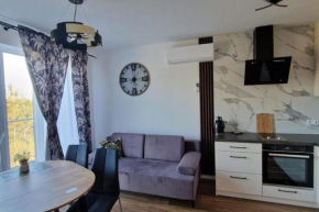 Comfy apartment near the sea in G ski in Gąski